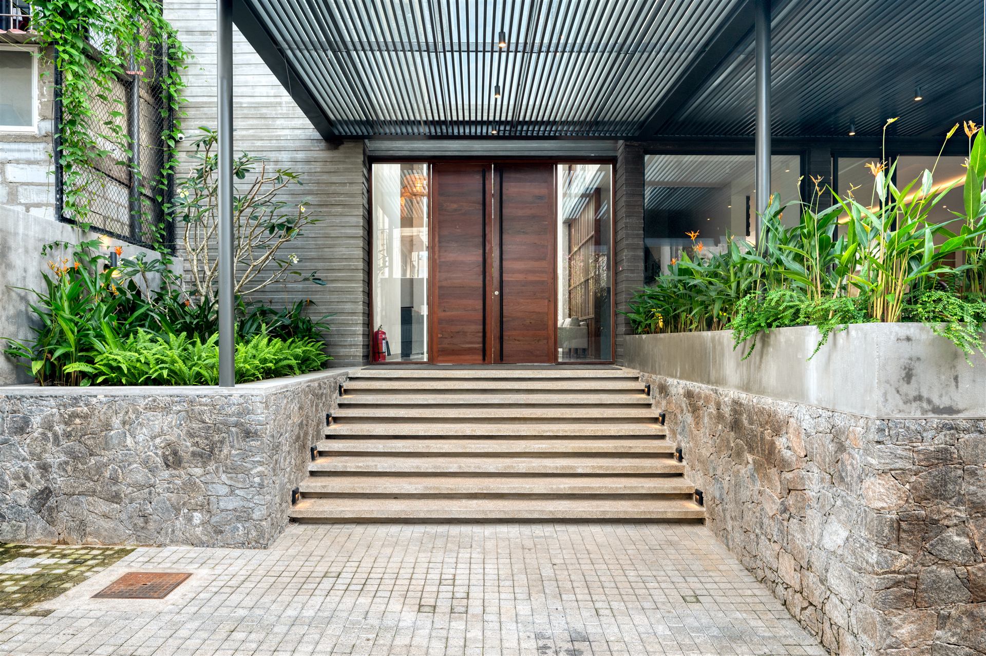 Entrance steps framed by tropical planting